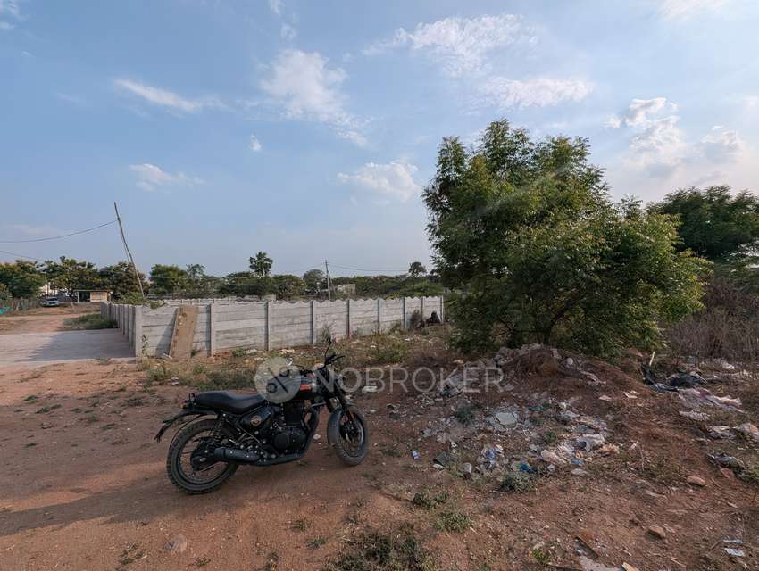 Plot For Sale  In Pasumamula