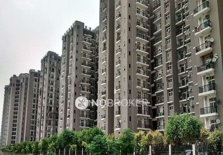 2 BHK Flat In Sunheri Residency for Rent  In Amrapali Zodiac