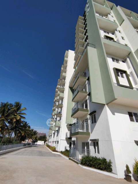 3 BHK Flat In Trifecta Retto, Sarjapur Road for Rent  In Chikkakannalli