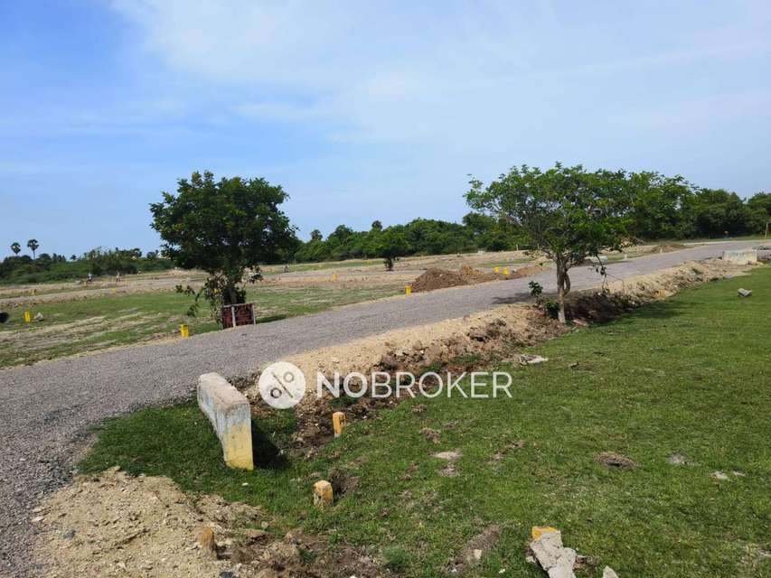 Plot For Sale  In Kattankulathur