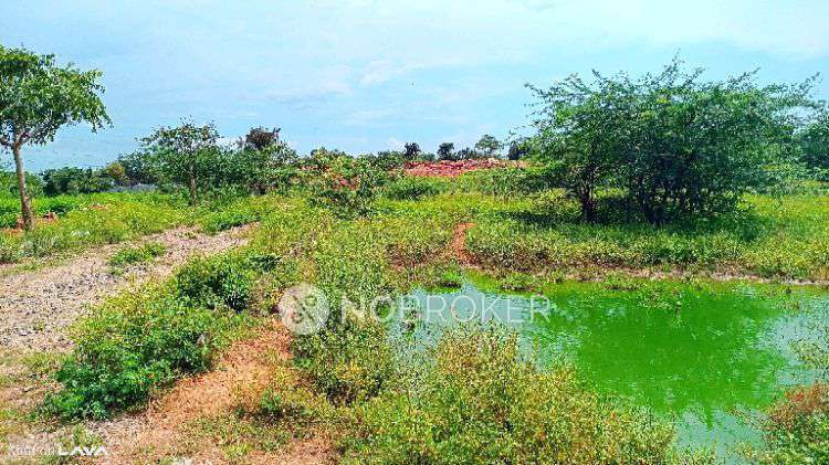 Plot For Sale  In Taramathipet 