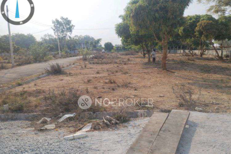 Plot For Sale  In Dasanayakanahalli