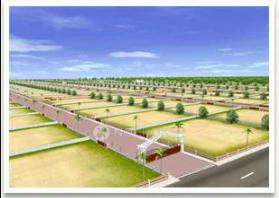 Plot For Sale  In Anvay University County In Gollapally