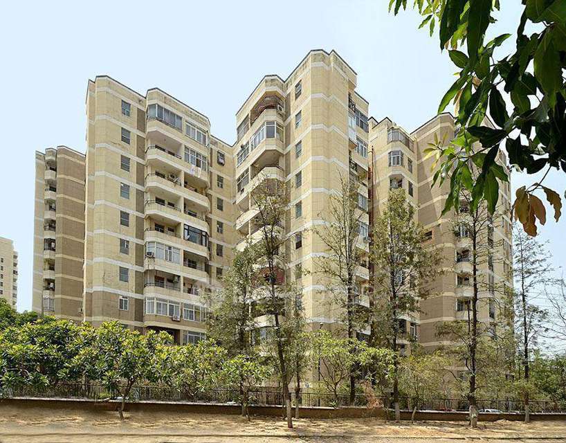1 RK Flat In Silver Oaks for Rent  In Sector 26