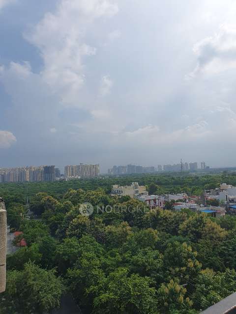 3 BHK Flat In Gurjinder Vihar for Rent  In Gurjinder Vihar