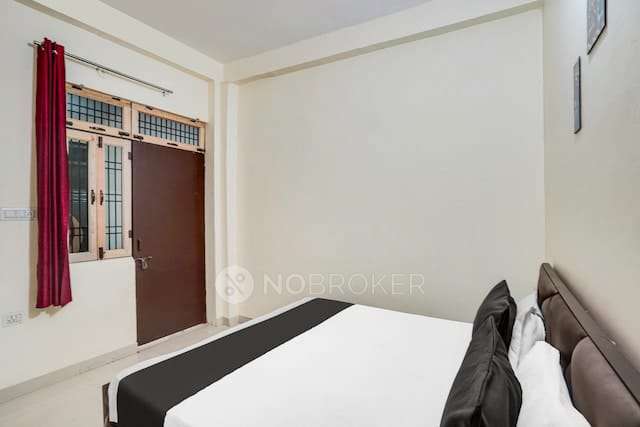 PG for Anyone in Pink City Colony