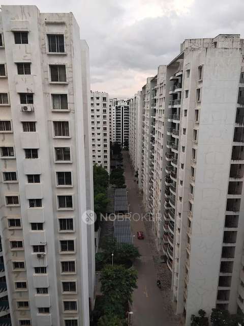 Single Room for Male In 2 BHK  In Mega  Poilish In Hinjawadi