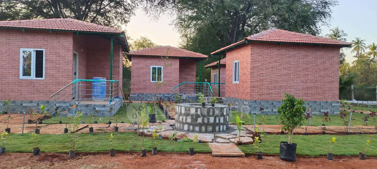 Plot For Sale  In Goribindru