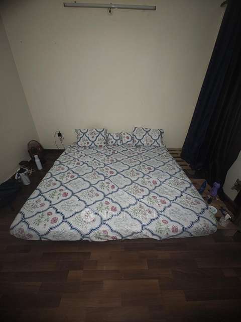 Single Room for Male In 3 BHK  In Paras Seasons In Sector 168