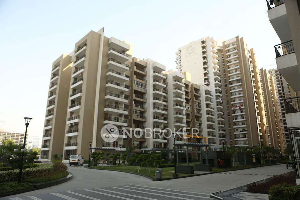 Single Room for Female In 3 BHK  In Gulshan Ikebana In Sector 143