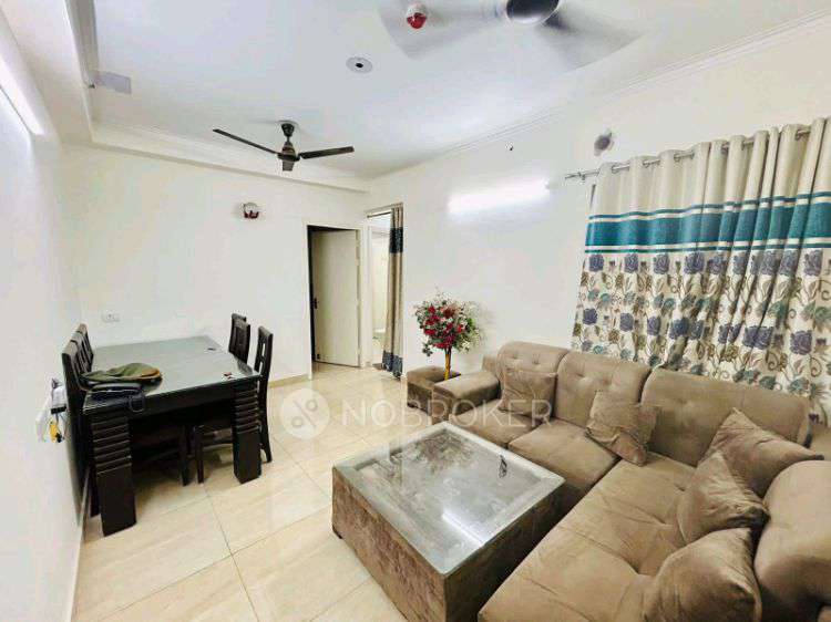Single Room for Male In 2 BHK  In Gaur City 2 In Noida Extention