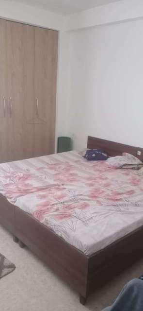 1 RK Flat In Apartment for Rent  In Sector 14
