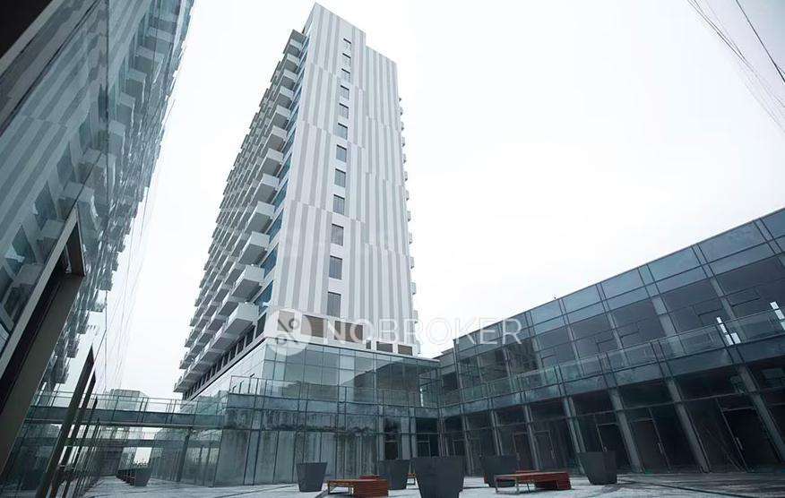 1 BHK Flat In Paras Square For Sale  In Sector 63