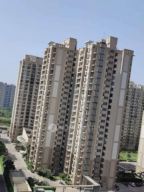 Single Room for Female In 2 BHK  In Paras Seasons In Sector 168