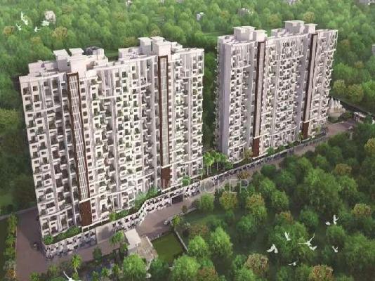 3 BHK Flat In Atria Rajgruhi Residency For Sale  In Kondhwa Budruk
