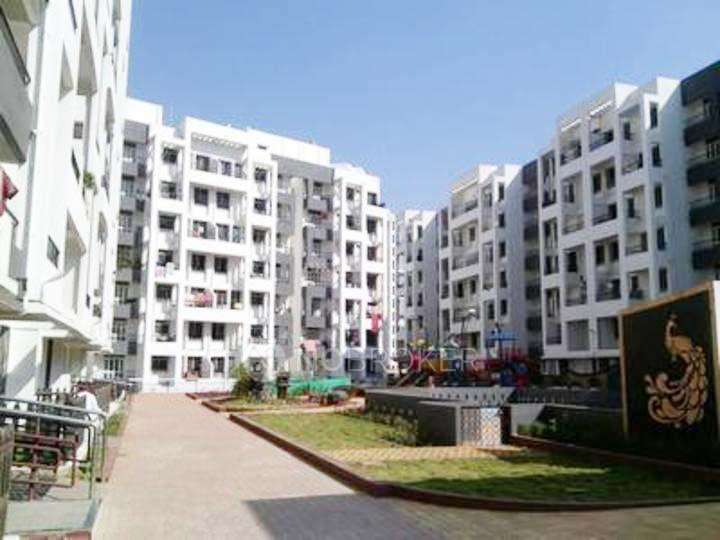 2 BHK Flat In Mayur Kilbil Phase 2 for Rent  In Dhanori