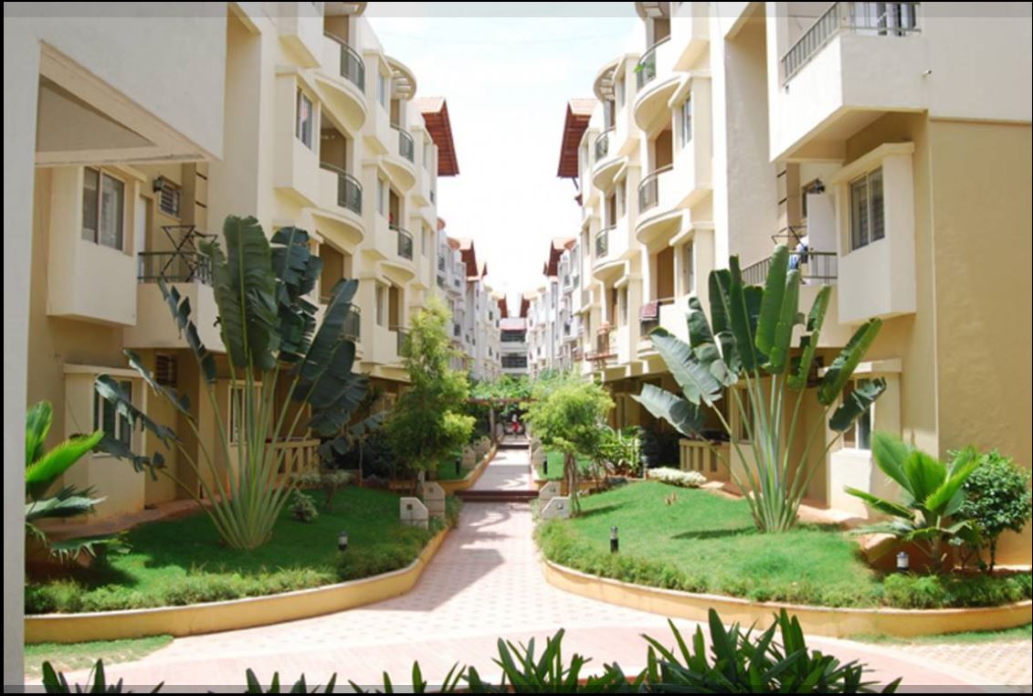 Oasis Breeze Apartment