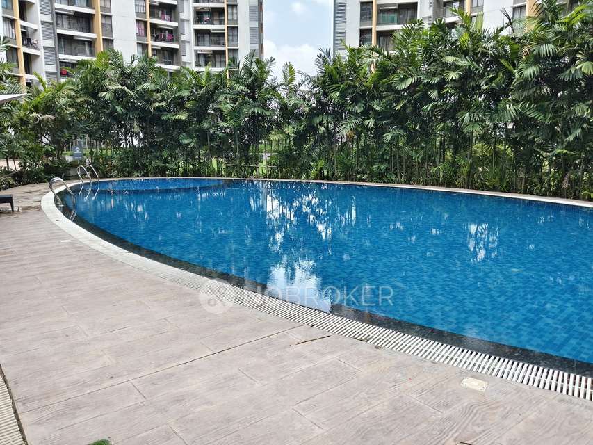 2 BHK Flat In Joyville Hinjawadi  for Rent  In Hinjawadi
