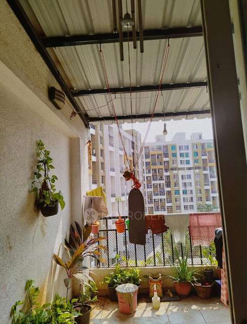 2 BHK Flat In Ba Vermont, A Block for Rent  In Wagholi