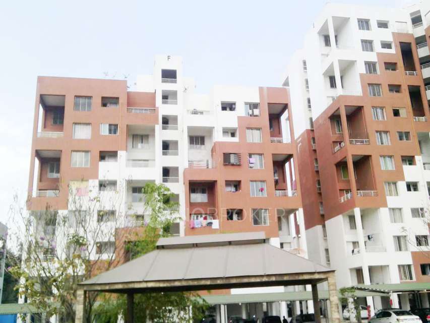 2 BHK Flat In Ziggurat Society for Rent  In Ambegaon Bk