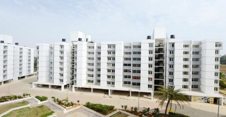 2 BHK Flat In Vbhc Vaibhava for Rent  In Byagadadhenahalli