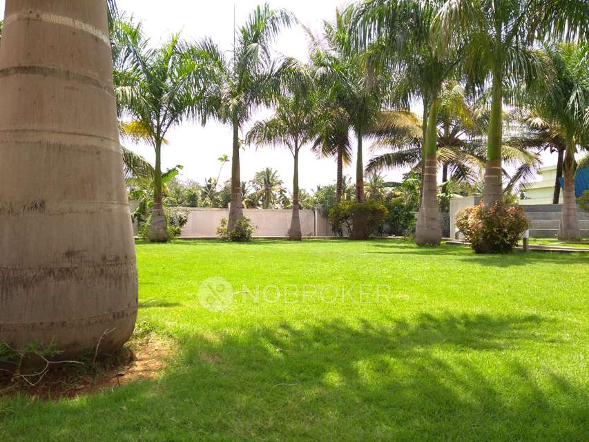 3 BHK Flat In Definer Kingdom Apartment for Rent  In Mandur