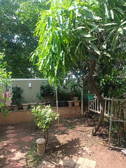 3 BHK Villa In Almond Tree - Row Houses & Vilaments For Sale  In Yelahanka New Town 