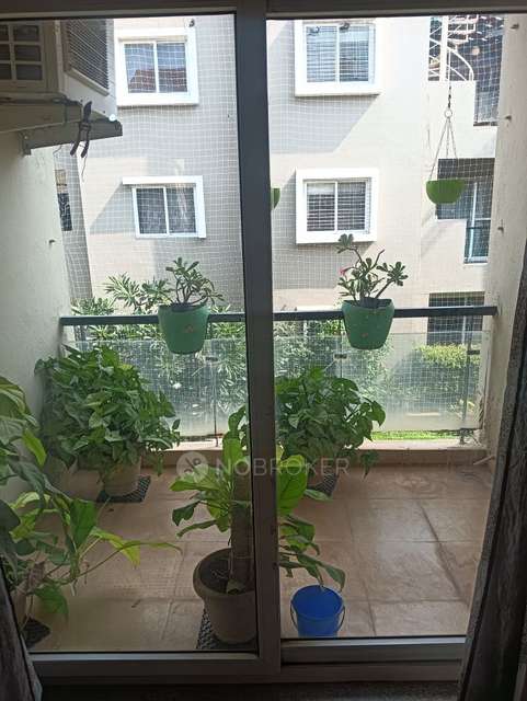 3 BHK Villa In Almond Tree - Row Houses & Vilaments For Sale  In Yelahanka New Town 