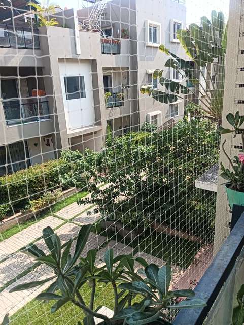 3 BHK Villa In Almond Tree - Row Houses & Vilaments For Sale  In Yelahanka New Town 