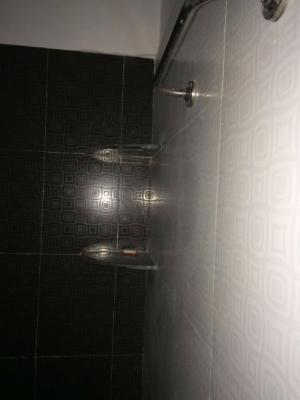 2 BHK Flat In Swapna Sankul for Rent  In Rahatani