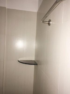 2 BHK Flat In Swapna Sankul for Rent  In Rahatani