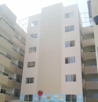 2 BHK Flat In Dsmax Solitaire for Rent  In Horamavu Agara