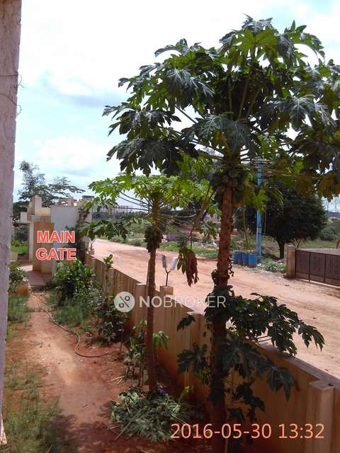 3 BHK Flat In Sk Aster Apartment For Sale  In Electronic City