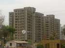3 BHK Flat In Golden Cascade for Rent  In Wakad