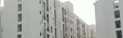 3 BHK Flat In Xrbia Hinjewadi for Rent In Hinjewadi