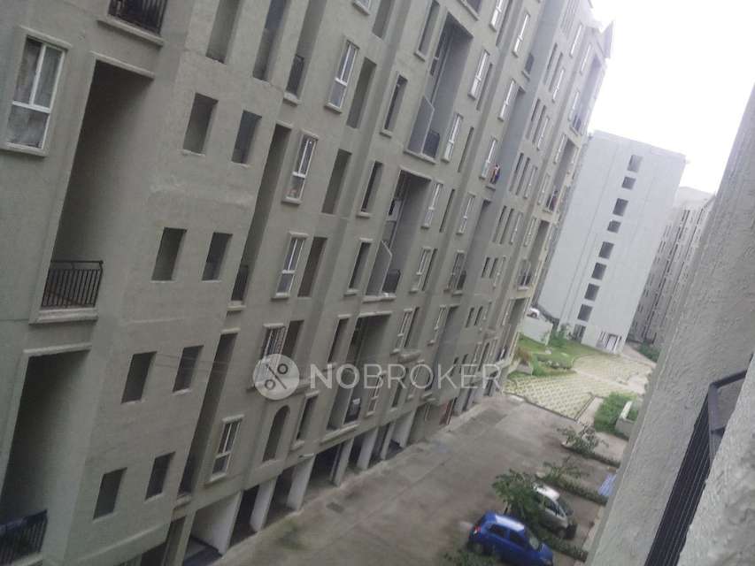 1 BHK Flat In Hinjewadi Hill for Rent  In Nerhe