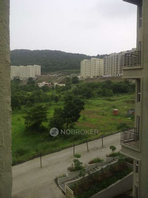 1 BHK Flat In Hinjewadi Hill for Rent  In Nerhe