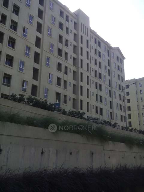 1 BHK Flat In Hinjewadi Hill for Rent  In Nerhe