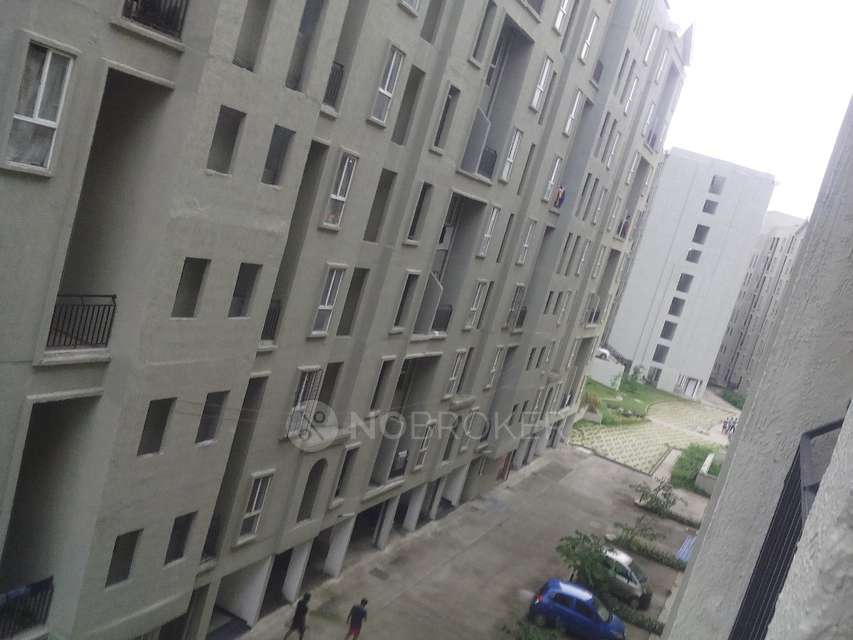 1 BHK Flat In Hinjewadi Hill for Rent  In Nerhe