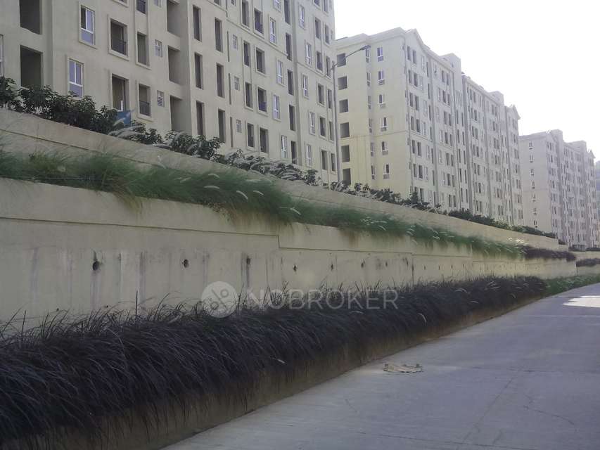 1 BHK Flat In Hinjewadi Hill for Rent  In Nerhe