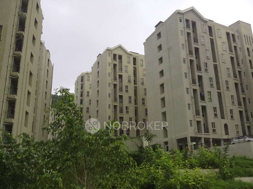 1 BHK Flat In Hinjewadi Hill for Rent  In Nerhe