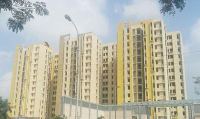 3 BHK Flat In Bramha for Rent  In Jamalia