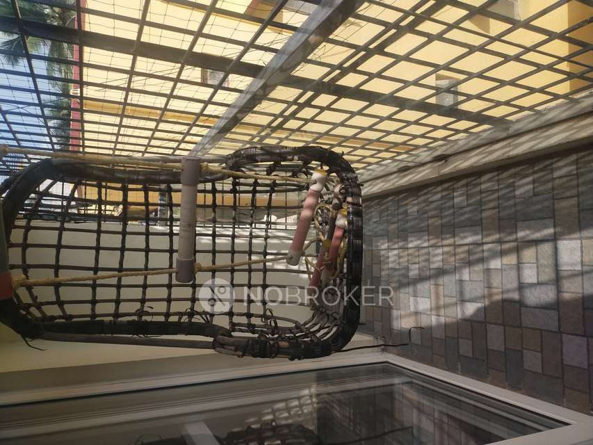 3 BHK Flat In Pearl Apartment for Rent  In Jeevan Bima Nagar