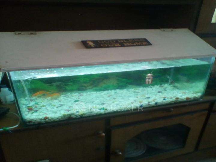 1 BHK Flat In Riddhi Apartment for Rent  In Hadapsar, Pune, Maharashtra, India