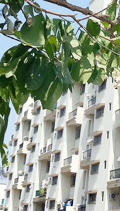 1 BHK Flat In Riddhi Apartment for Rent  In Hadapsar, Pune, Maharashtra, India
