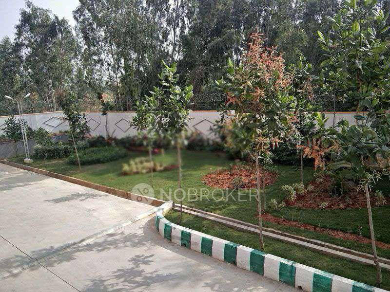 3 BHK Flat In Aster For Sale  In Chambenahalli