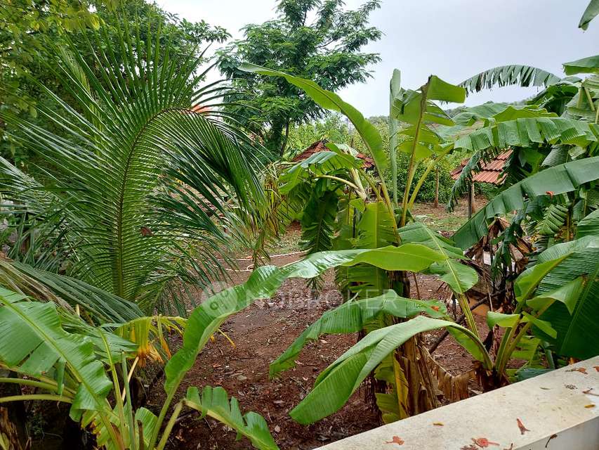 1 BHK House for Rent In Karjat