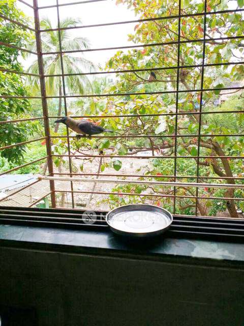 1 RK Flat In Savalu Nivas For Sale  In Gavanpada