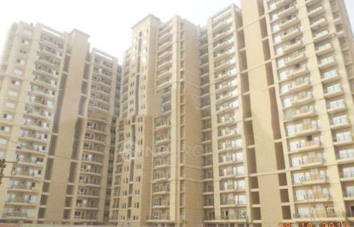 2 BHK Flat In Sidhartha Ncr One for Rent  In Sector-95