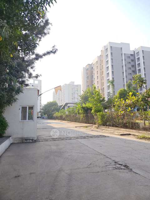 2 BHK Flat In Palm Atlantis for Rent  In Wagholi